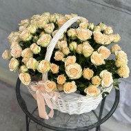 Скромный шик Скромный шик